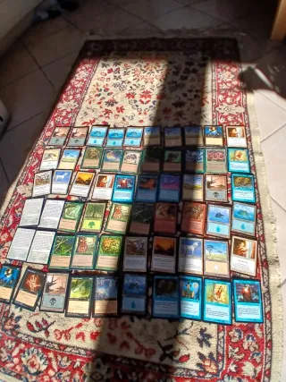 Magic the Gathering Carte