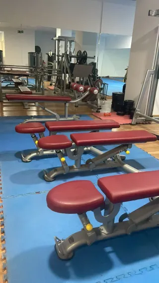 Lote de máquinas musculacion bh o por unidades
