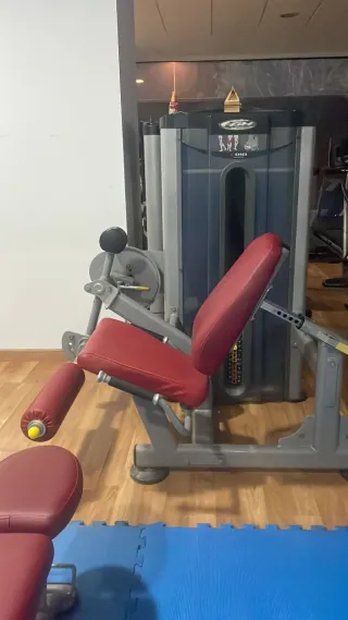 Lote de máquinas musculacion bh o por unidades