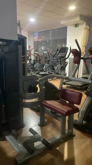 Lote de máquinas musculacion bh o por unidades