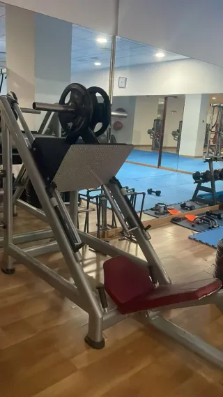 Lote de máquinas musculacion bh o por unidades