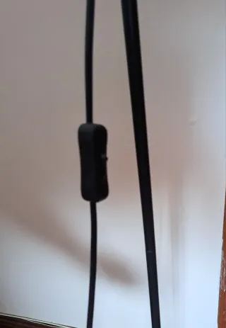 Lámpara de pie negra. Lectura