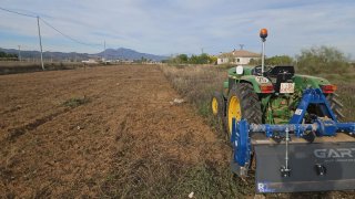 Trabajos agrícolas: tractor