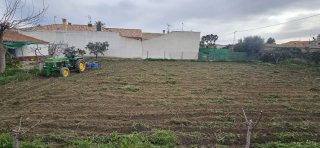 Trabajos agrícolas: tractor
