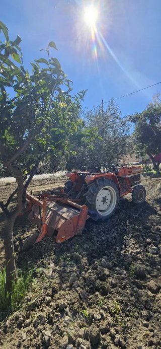 Trabajos agrícolas: tractor