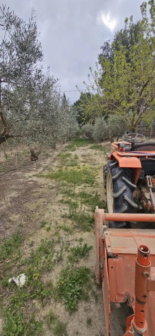Trabajos agrícolas: tractor