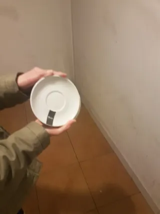 38 TAZAS CAFE Y 17 PLATOS en buen estado