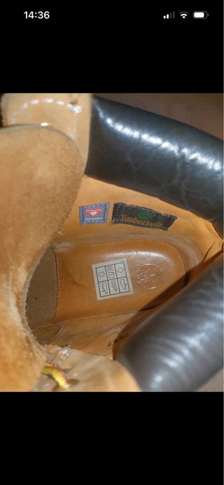 Timberland 6-inch classiche