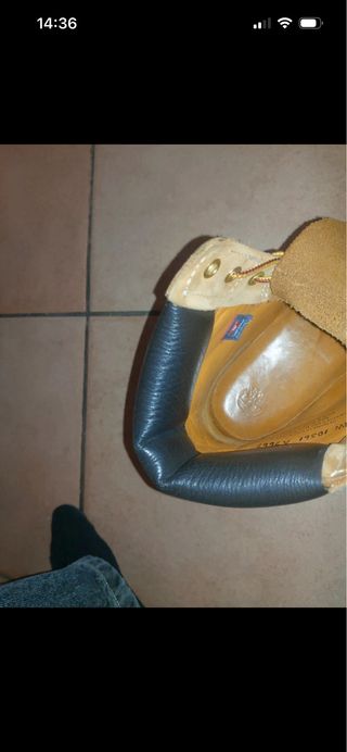 Timberland 6-inch classiche