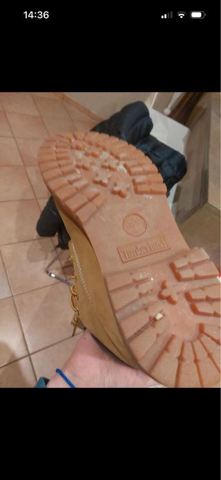 Timberland 6-inch classiche