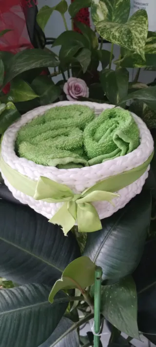 Porta lavette bianco e verde