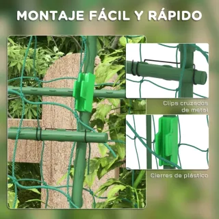 Enrejado para tomates verde