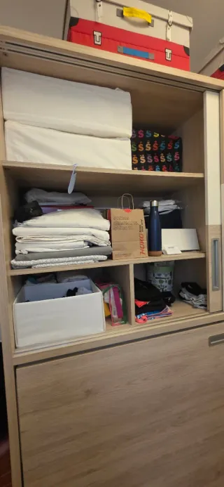 Cama abatible 90cm con estanterías y colgador.