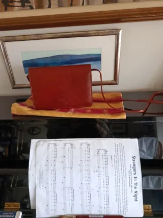 Pequeño bolso bandolera para Múltiples departamen