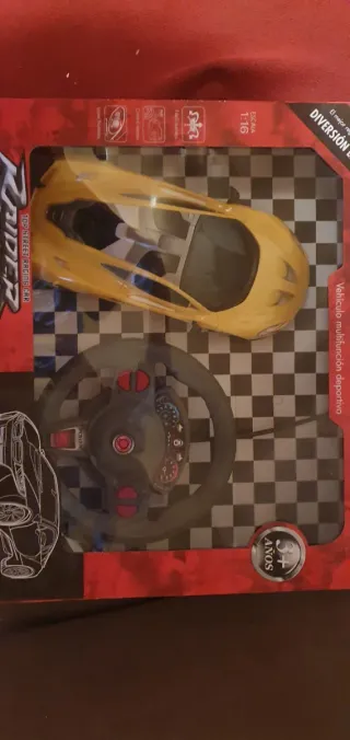 Coche RC Raider 1:16