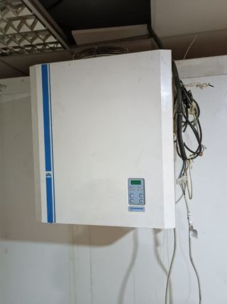 Compartimento Congelador Industrial