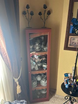 Vitrina de madera con puerta de cristal