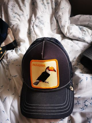 Gorra Goorin Bros Gallo Negra y Marrón