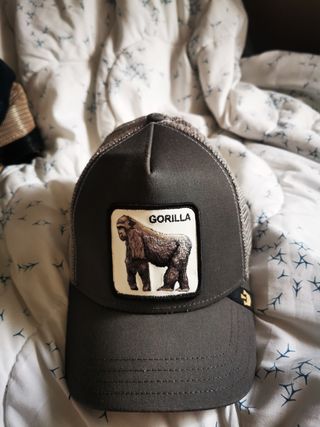 Gorra Goorin Bros Gallo Negra y Marrón