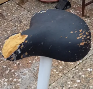 Cyclette GYMSTAR GYM-010