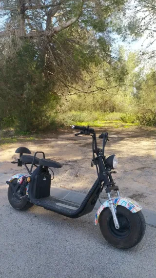 Moto eléctrica citycoco