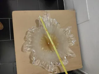 Tulipa Cristal Murano Dorada Transparente