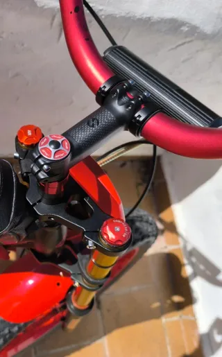 Bicicleta Fatbike MTB EXCLUSIVA Y ÚNICA