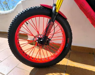 Bicicleta Fatbike MTB EXCLUSIVA Y ÚNICA