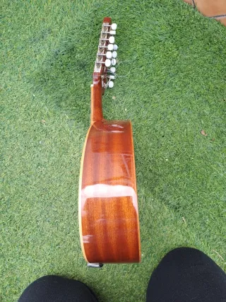 Bandurria Francisco Esteve