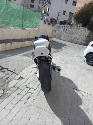 Suzuki GSXR 750cc Circuito