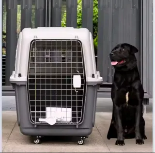 Transportín Perro Grande Azul y Blanco