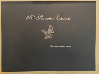 Litografia NTM 2023 + Cartella 36 Stormo