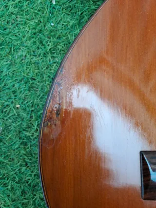 Bandurria Alhambra 4P