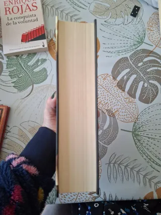 Hijos de un rey godo (El Sol del reino Godo 2)