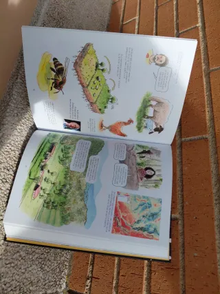 Vinyetari les millors historietes de no-ficció ...