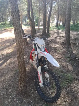 GasGas 250ec Enduro 2006