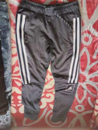 Chándal Adidas Gris