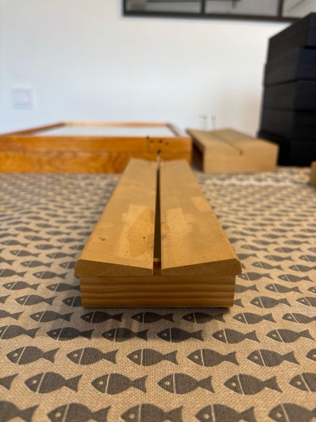 Estructura para disecar mariposas