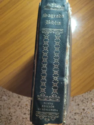 Sagrada Biblia
