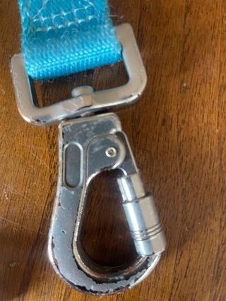 Camon Guinzaglio Blu per Cani