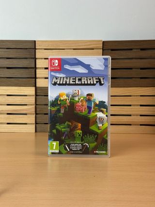 Minecraft Nintendo Switch