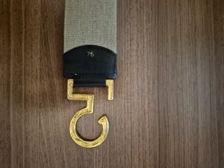 Cinturón elástico con hebilla dorada