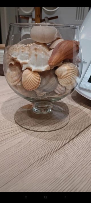 Vaso decorativo con conchiglie