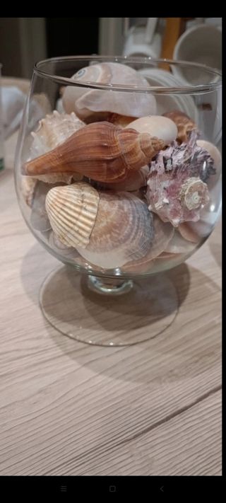 Vaso decorativo con conchiglie