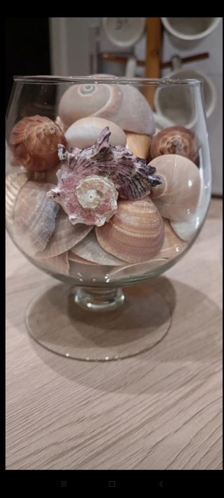 Vaso decorativo con conchiglie