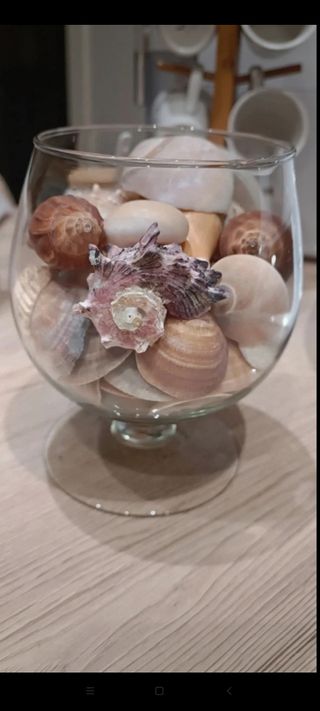 Vaso decorativo con conchiglie