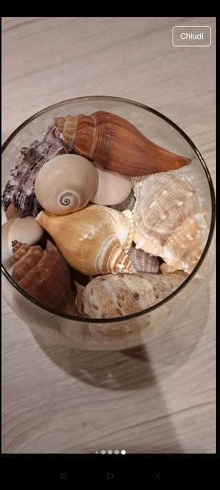 Vaso decorativo con conchiglie