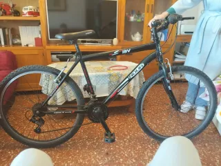 Bicicleta INDUR 18V