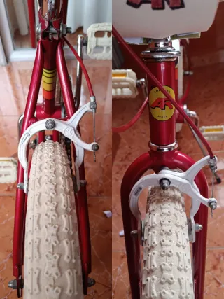 Bicicleta BMX AR 20"