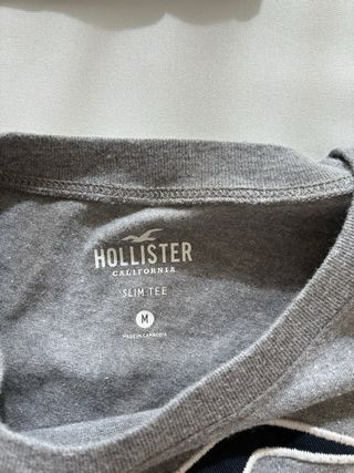 Jersey Hollister gris manga larga